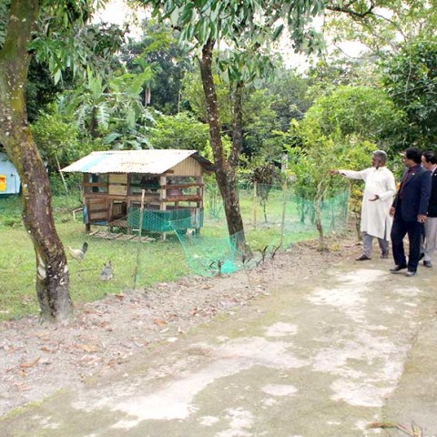 Divisional commissioner is inspecting a double layer chicken and duck house developed by DUS farmers