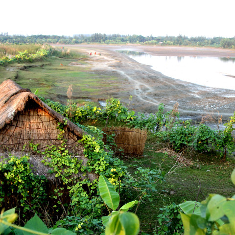 Families recently shifted in new accreted land at Noler Char, Hatiya are living dangerously